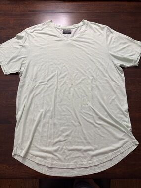 Goodlife Men’s V-Neck T-Shirt in Mint Green